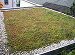 Leistungen